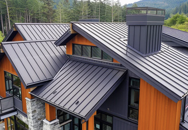 Roofing Picture